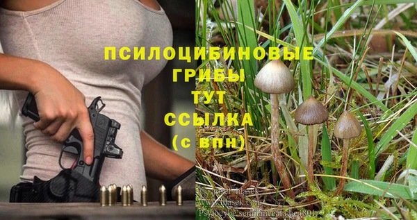 мяу мяу мука Алексеевка